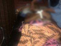 Sedang Dodos Sawit, Tewas Tersambar Petir 