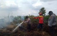 Kepala BPBD Pelalawan Hadi Panandio : Karhutla Di Desa Pkl Terap Masuk Hari Ke 8 Proses Pendinginan