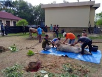 Penyaluran Dana BLT DD Tahap II Di 8 Kecamatan Tuntas