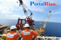Direktur Jenderal Minyak dan Gas Bumi (Migas) Kementerian ESDM 