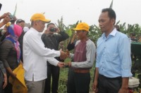 Mengolah Buah Keladi Menjadi Makanan, Pemkab Akan Datangkan Pelatih Dari Bogor