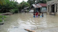 Puluhan Rumah Warga Desa Petani Terendam Banjir