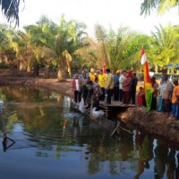 KORAMIL 12 PWK SABAK/AUH DAN DINAS PERIKANAN  MEMBUDIDAYAKAN IKAN PATIN  DIDESA SUNGAI TENGAH 