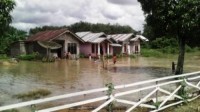 Hujan Deras Puluhan Puluhan Rumah Sawah di Rambah Samo Terendam