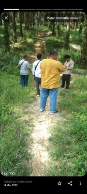 PT, SARI LEMBAH SUBUR DIDUGA GARAP LAHAN DILUAR HGU